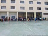 My Gallery (57/282)